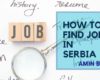 【セルビアに移住】日本人がセルビアで仕事を探す方法
